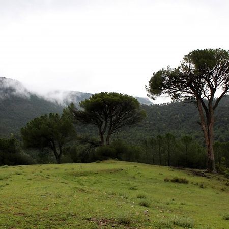 Casa Mercedes Molinicos Dış mekan fotoğraf