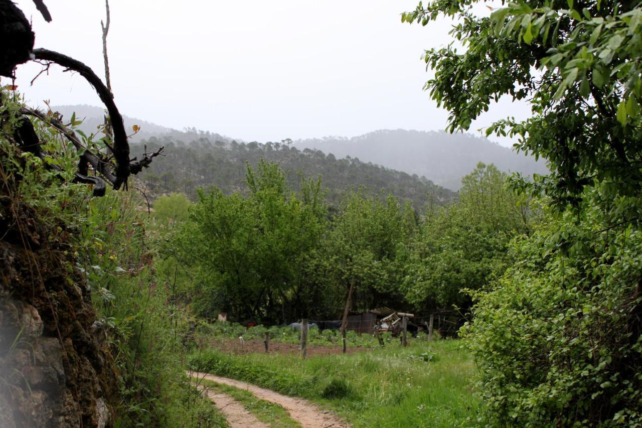 Casa Mercedes Molinicos Dış mekan fotoğraf